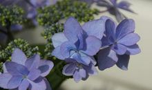 老师和孩子玩的开心的句子 老师跟孩子们一起快乐的句子