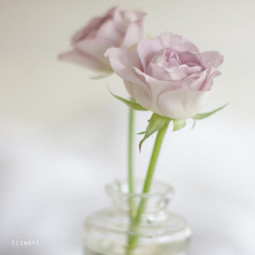 今天我和你在一起很开心。我和你在一起很开心1