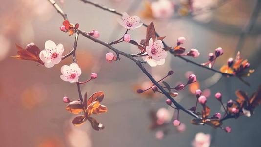 老师和孩子之间的快乐句子老师和孩子之间的快乐句子2