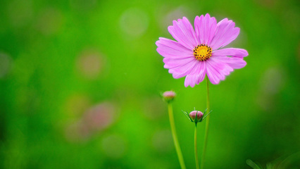 说服别人快乐地生活的句子说服人快乐的谈话1
