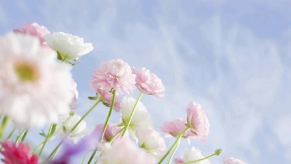 快乐幽默的句子快乐幽默的句子2