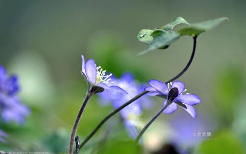 句子，带孩子们快乐的一天，带孩子们快乐，并谈论情绪2