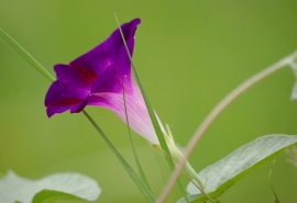关于在幼儿园玩的句子关于在幼儿园玩的乐趣2
