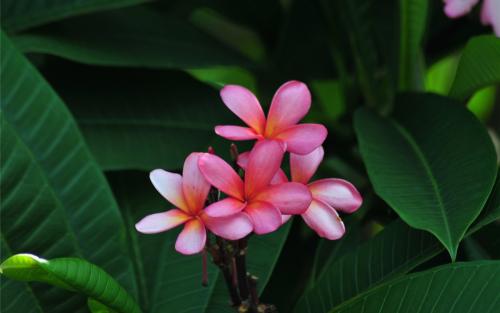 有孩子的快乐一天的句子