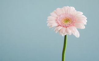 关于在幼儿园玩的句子关于在幼儿园玩的话题1