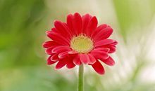 关于幼儿园开心的句子 幼儿园开心玩耍的说说