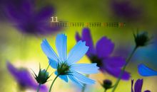 告诉朋友开心的句子 祝福朋友让朋友开心的句子