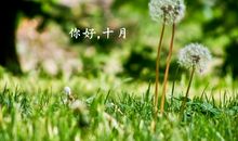 十月待我好点的说说、句子