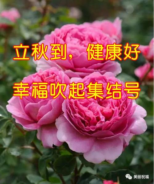 立秋问候简单的祝福