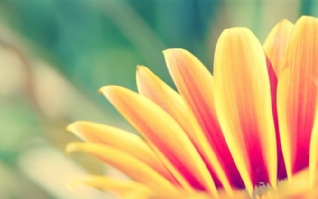 每天快乐，快乐，快乐和快乐的句子1