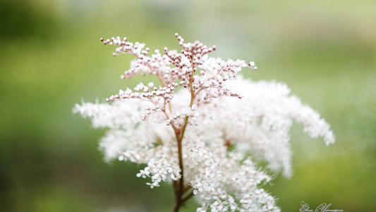 快乐暑假夏天心情美丽句子1