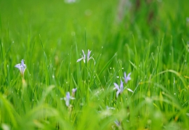快乐的夏天句子夏天的心情美丽的句子