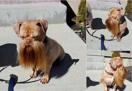 美容院客户的问候