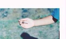 没有友谊没有爱情的说说心情