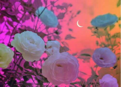 一句话动人心弦