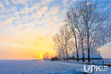 描述冬天的惨淡景象