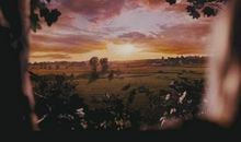 怦然心动电影名句