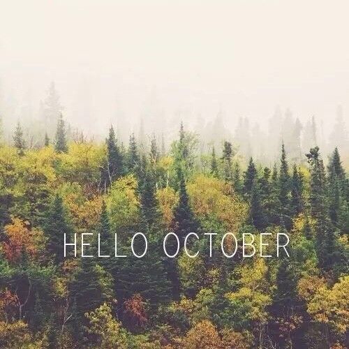 您好10月，送去9月迎来10月1日的判决