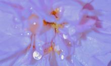 下雨天的经典心情句子