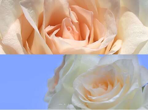 那些20岁的孩子不相信30岁的孩子，但相信真理