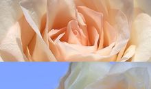 那些些20岁不信30岁却深信不疑的道理