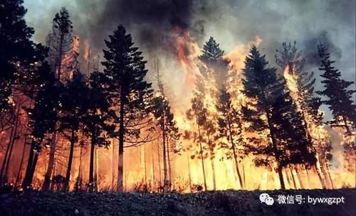 悼念英雄的诗歌