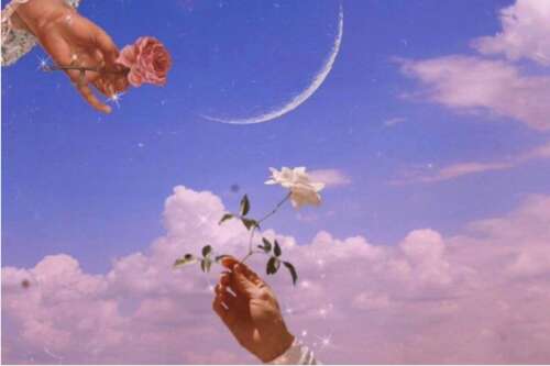 豆阴是最热门的温柔仙女文案