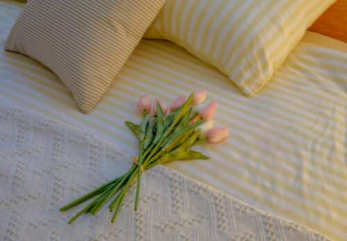 干净温和的文案适合在Moments 2中发布