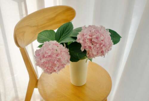 干净温和的文案适合在瞬间发布