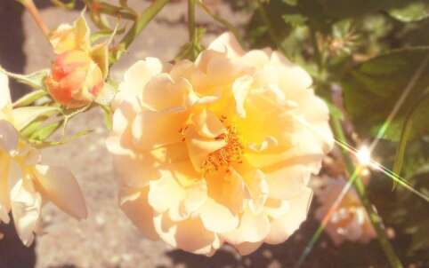 沙雕文案搞笑句子适合送朋友