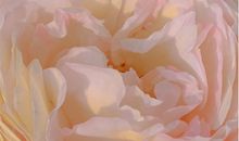 一秒就会被赞的晚安句子说说