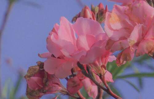 谈论情绪短语和生活感知的句子1