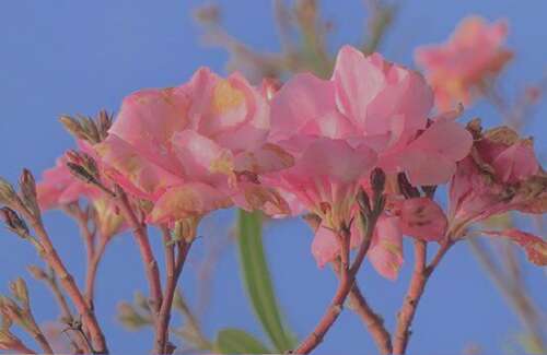 谈论关于生活感知的情绪短语和句子