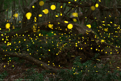 深秋之夜的环境描述