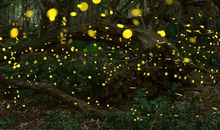 深秋夜晚环境描写