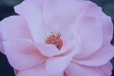 最短最悲伤的句子