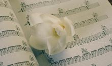 心痛到滴血的句子