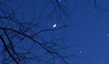 心情低落无奈的句子