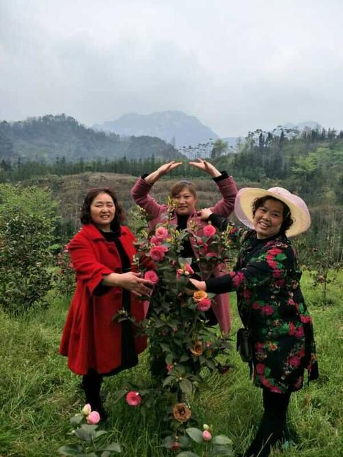 为了姐妹聚会的祝福