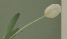 九月再见十月你好说说大全