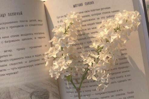 我不能说我心里难受的一句话