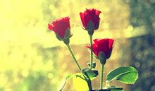 心情一般朋友圈说说