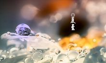 夏至到来朋友圈说说养生