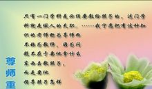 初中教师格言