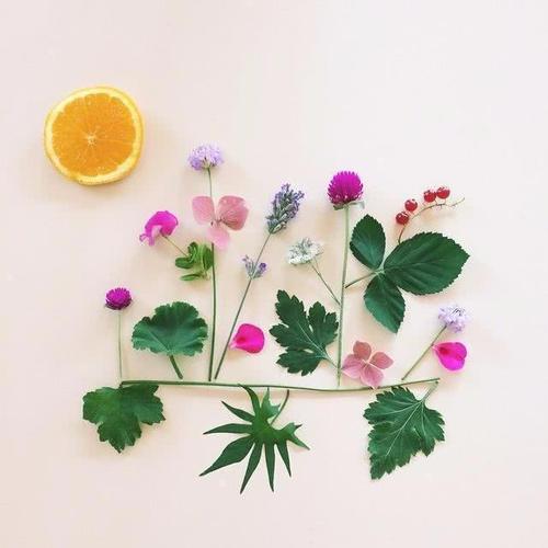 谈论朋友圈的能量