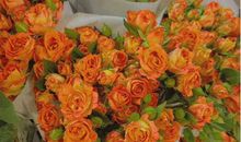 十月你好致自己