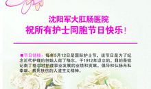 护士节发朋友圈的精美句子