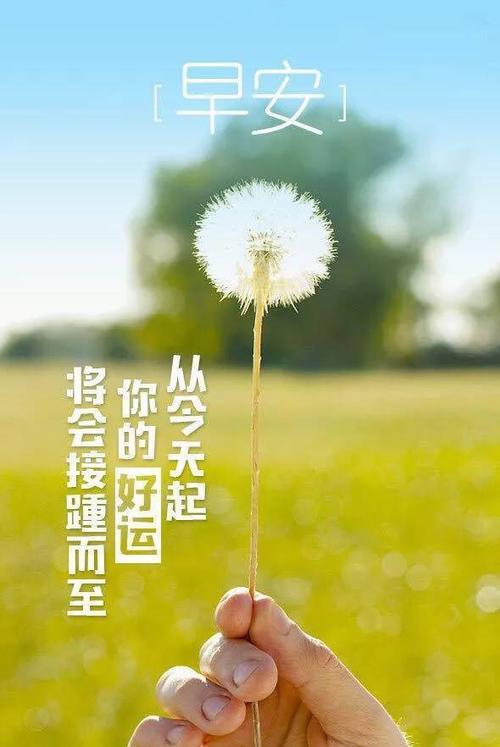 朋友圈中的人生句