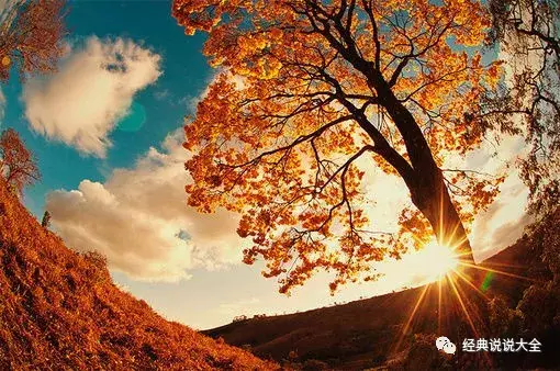 让其他人在一句话中跟随您2