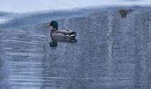 朋友圈冬季说说